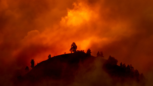 An increase in wildfires has brought devastation to Oregon in recent years. (Victoria Schaal/Adobe Stock)