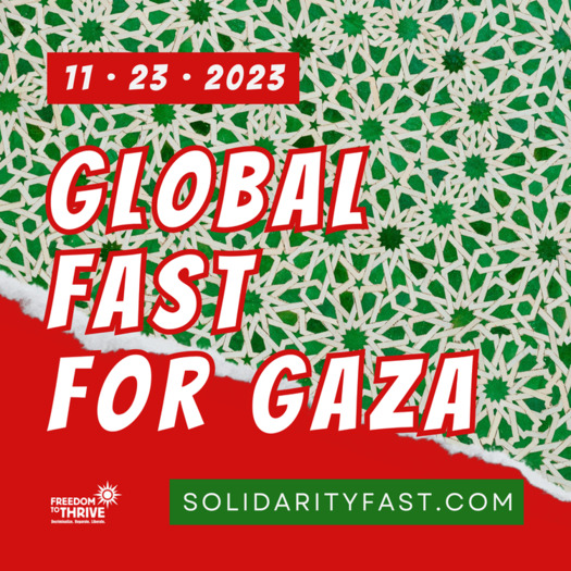 The call for a fast in solidarity with Palestinians is on Nov. 23, which is Thanksgiving Day. (Solidarityfast.com)