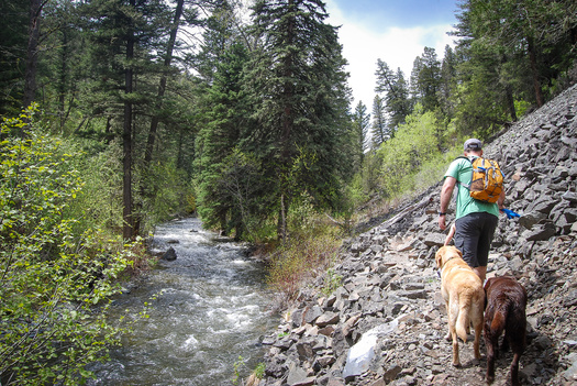 Montana is home to more than 30 million acres of public state and federal lands, nearly one-third of the state. (Adobe Stock)