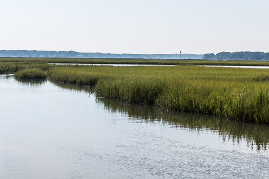 In the three decades between 1980 and 2010, Virginia's York River lost more than 20% of marsh area. By 2050, the region is projected to lose 40,000 acres to sea-level rise. (Adobe Stock)