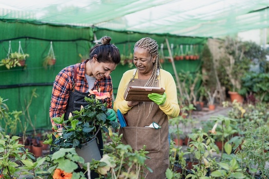 The stress of farming is compounded for racial and other minorities, a new study suggests. (Adobe Stock)