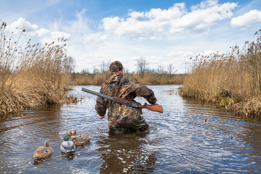 Missouri wetlands have been reduced to 643,000 acres, a loss of 87% from their original footprint. (rodimovpavel/Adobe Stock)