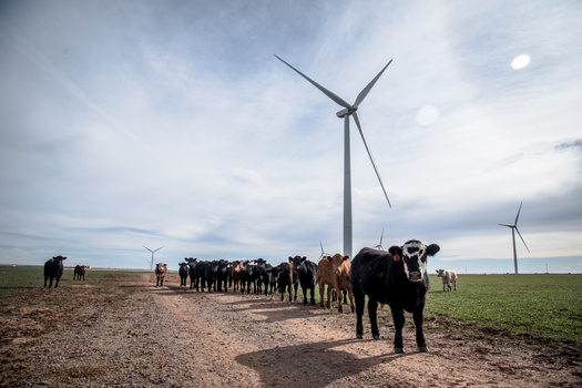 Since the summer of 2022, the State of Arizona has already secured more than $10 billion in new clean energy investments, which are projected to create more than 13,500 new jobs, according to Climate Power. (Adobe Stock) 