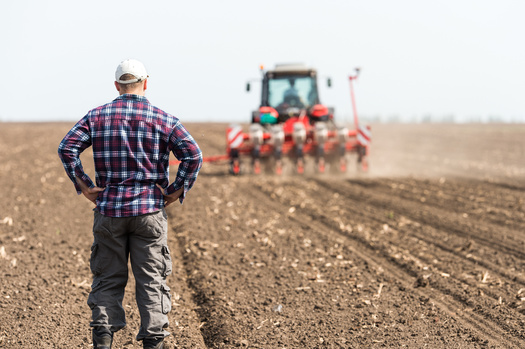 The Farm Credit System is cumulatively the largest lender to the agricultural sector, making about 45% of all agricultural loans, with $350 billion in assets. (Dusan Kostic/Adobe Stock)