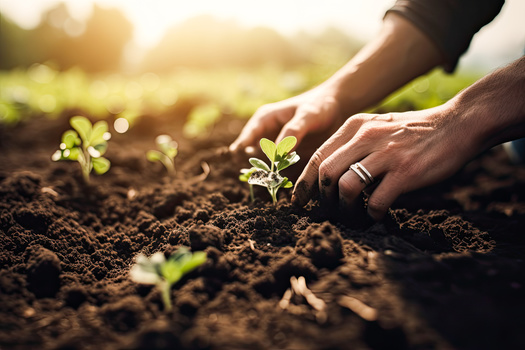 The Farm Credit System is cumulatively the largest lender to the agricultural sector, making about 45% of all agricultural loans, with $350 billion in assets. (Adobe Stock)