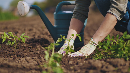 The Farm Credit System is cumulatively the largest lender to the agricultural sector, making about 45% of all agricultural loans, with $350 billion in assets. (DiedovStock/Adobe Stock)