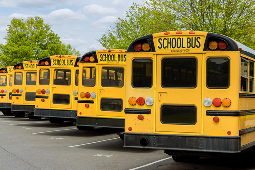 According to the website 'Illinois.gov,' the state has around 29,000 school buses operating as part of public school districts. (Adobe Stock)