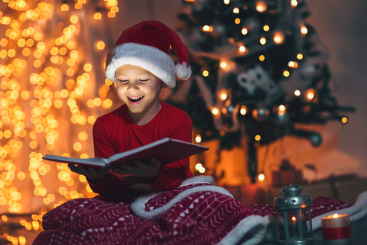 Toy drive organizers say books are a good donation approach for toy drives because a set of three can count as one whole gift as part of the toy limit for each child. (Adobe Stock)