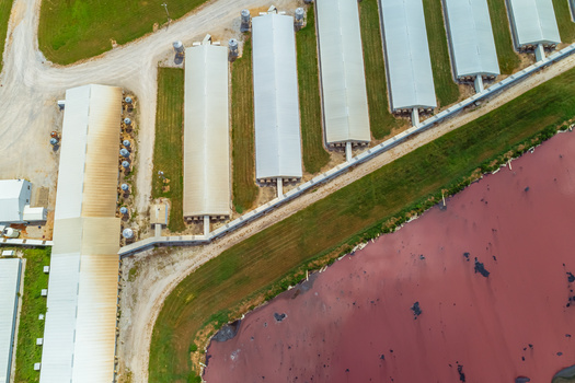 Large-scale farm operations have raised concerns about nearby public health effects across the country. (Aaron/Adobe Stock)