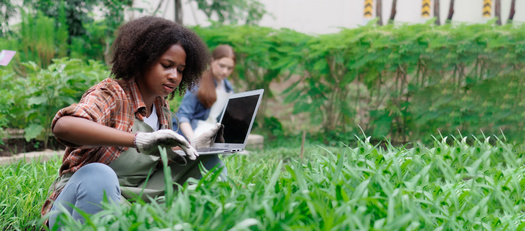 Beyond boosting land access, Minnesota's Route 1 organization is using a new grant to help emerging BIPOC farmers enhance their marketing operations. (Adobe Stock)