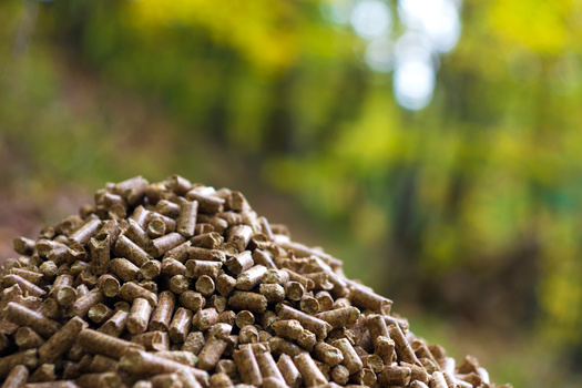 According to a new report, an inventory of emissions from wood-pellet production found more than 55 hazardous air pollutants, along with more than 10,000 tons of volatile organic compounds and more than 14,000 tons of particulate matter in annual emissions. (Daniel Vincek/Adobe Stock)