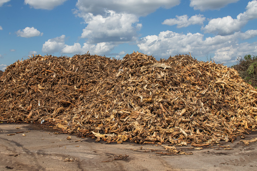 According to a new report, an inventory of emissions from wood-pellet production found more than 55 hazardous air pollutants, along with more than 10,000 tons of volatile organic compounds and more than 14,000 tons of particulate matter in annual emissions. (Andrei Merkulov/ Adobe Stock)