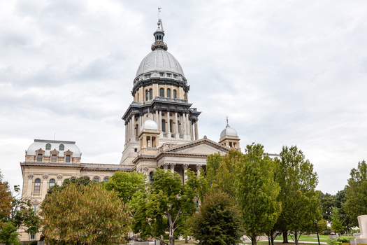According to the Illinois General Assembly, at least 318 new pieces of legislation will go into effect in 2024 that will impact every area in the state. (Adobe Stock)