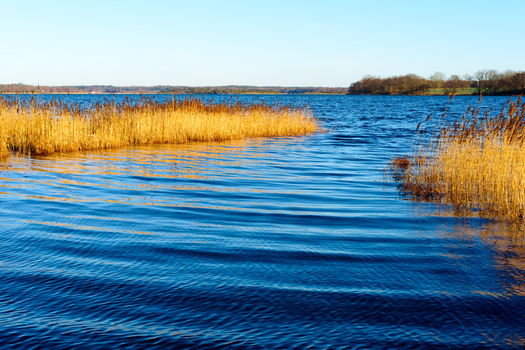 The Illinois Environmental Protection Agency 2020-2022 report indicates 85% of the state's streams are 