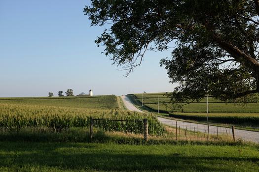 Iowa has among the highest rates of cancer in the United States, according to the National Cancer Institute. Research shows people in rural Iowa die more frequently from cancer than their urban counterparts. (Adobe Stock)