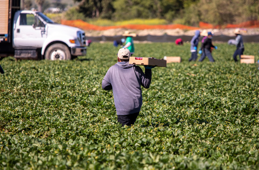 Latinos account for 47% of agricultural field workers and 46% of construction laborers in the U.S. and face extreme summer heat threats due to climate change. (Adobe Stock)