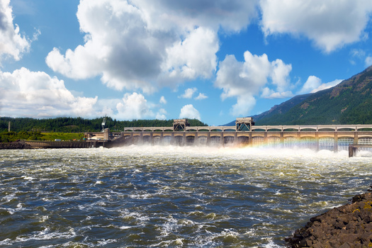 Only some fish species near Bradford Island on the Columbia River are safe to eat. (J-B-C/Adobe Stock)