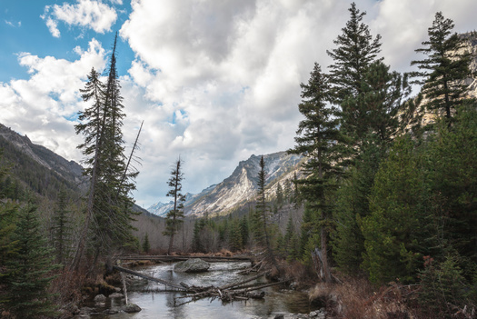 About 70% of the 1.6 million-acre Bitterroot National Forest is in northwest Montana. The remainder is in southeast Idaho. (Adobe Stock)