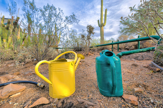 Most Arizona voters believe the drought is continuing to worsen, and that policymakers need to do more to protect the state's water future and secure long-term water supplies. (Adobe Stock) 