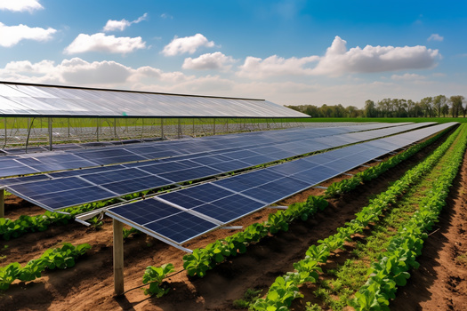 According to the Clean Grid Alliance, Minnesota farmers, ranchers and landowners receive nearly $9 million annually from land lease payments related to solar projects on their property. (Adobe Stock)