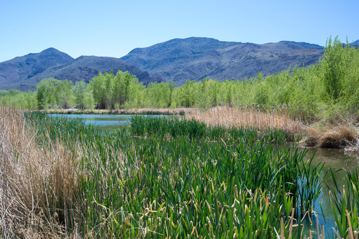 In 2018, the City of Reno, Nevada, agreed to allow Truckee Meadows Parks Foundation to work on a decommissioned golf course. (Dominic Gentilcore/Adobe Stock) 