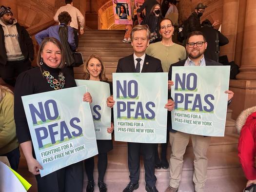 More than 250 local waterways in New York have exceeded PFAS levels stipulated by the state. (Natural Resources Defense Council)