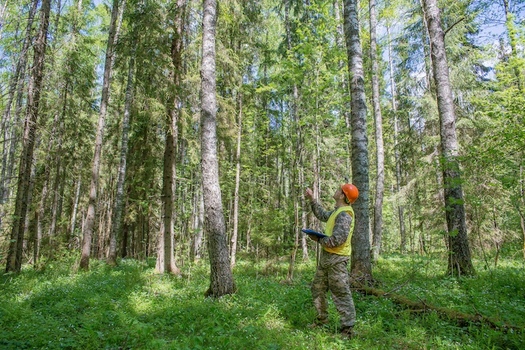 In 2023, the USDA Forest Service and AmeriCorps signed a five-year agreement to establish the Forest Corps, which aims to create Job opportunities that reduce wildfire risk, support reforestation and make national forests and grasslands healthier and more resilient. (Adobe Stock)