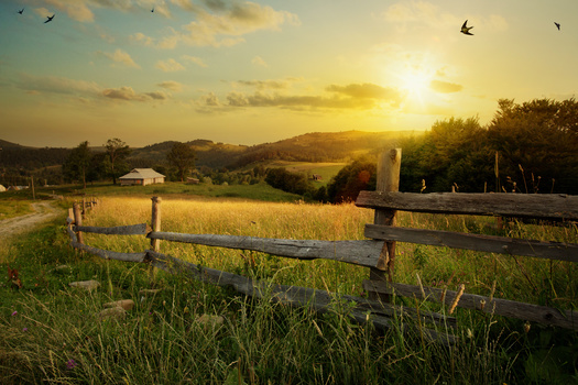 According to the new Census of Agriculture, the total number of farms with more than $1 million in sales has gone up by 36 percent. Advocates said such growth squeezes out smaller producers. (Adobe Stock)