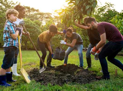 The American Climate Corps will reflect a comprehensive approach to tackling climate change across the country. (Rawpixel.com/Adobe Stock)