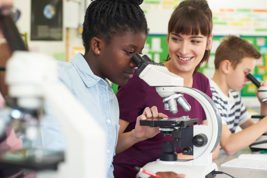 Backers of an updated climate-change curriculum in New Hampshire said it should include how the crisis impacts the state today, including shortened winters and ski seasons, water quality, local agriculture and sea level rise. (Adobe Stock). 