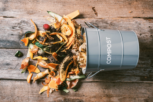 Data from 2021 estimated only 3.5% of organic waste generated in Baltimore was diverted for composting. (Adobe Stock)