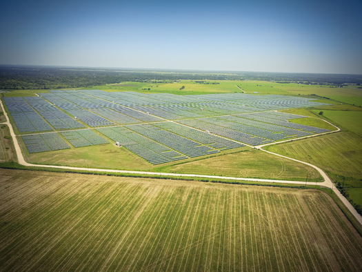 Vast tracts of Texas land can accommodate traditional agriculture, including grazing, and solar farms. (trongnguyen/Adobe Stock)