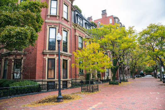 Studies show a correlation between ample tree canopy in urban areas and reduced heat-related ambulance calls during extreme heat events. (Adobe Stock)