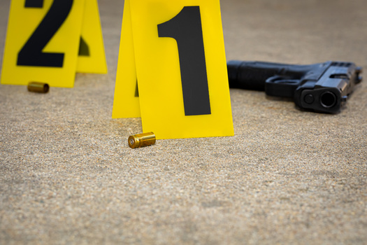 The group Everytown For Gun Safety ranks Missouri as the seventh-highest state for all gun-related deaths. (JJ Gouin/Adobe Stock)