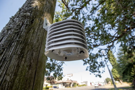 As part of the Greening Research in Tacoma initiative, air temperature monitors were set up in a city neighborhood. (Hannah Letinich/The Nature Conservancy)