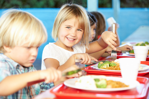 Legislative supporters say had South Dakota taken part in a new federally funded summer meal program for low-income families, an estimated 54,000 children around the state would have benefited. (Adobe Stock)