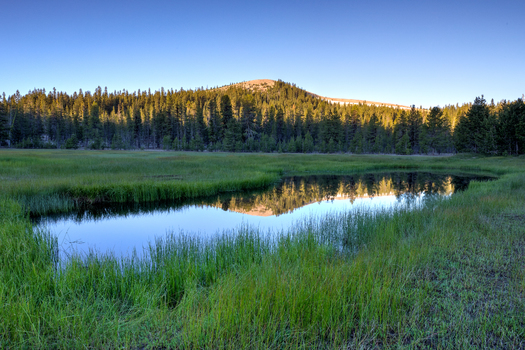 The lands under consideration for the Stttla National Monument in the Medicine Lake Highlands are currently managed by the U.S. Forest Service. (Bob Wick)