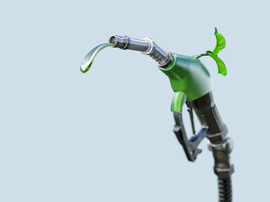 Backers of establishing a cleaner standard for transportation fuel in Minnesota say it would apply to both in-state producers, as well fuel that's imported. (Adobe Stock)