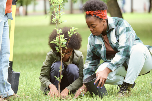 Massachusetts has been losing roughly 5,000 acres of forest each year to housing and industrial development as well as large-scale solar power installations, according to Mass Audubon. (Adobe Stock)