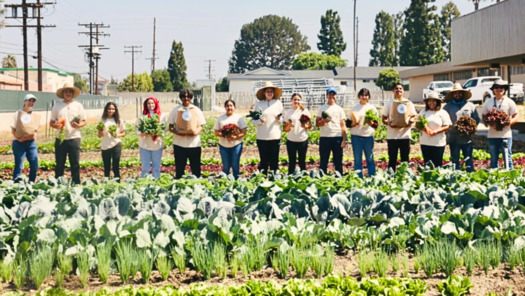 Students at Magnolia High School used data analytics and project management skills learned as part of the Google Career Certificate program to plant and manage an urban farm. (Magnolia Agriscience Community Center)