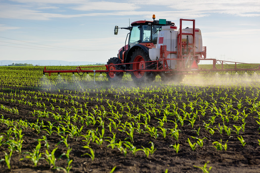 The U.S. Department of Agriculture estimates up to 15 million acres of soybeans have been damaged by dicamba drifting beyond where it was applied. (Adobe Stock) 