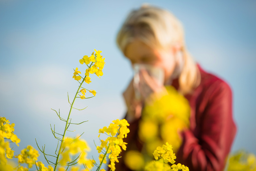 According to the Centers for Disease Control and Prevention, more than one in four adults and almost 20% of children in the United States have a seasonal allergy. (Sandor Jackal/Adobe Stock)