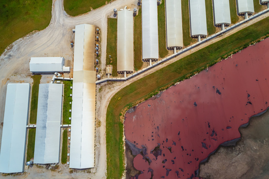 Smithfield Foods spilled more than 7.3 million gallons of hog waste throughout Missouri according to a public records search by The Socially Responsible Agriculture Project. (Alberto/Adobe Stock)