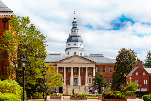 AARP reports 62% of Maryland voters in 2022 were 50 or older. (Sergey Novikov/Adobe Stock)