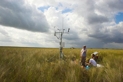 The language used in scientific disciplines can be a barrier to comprehension. (georgeburba/Adobe Stock)