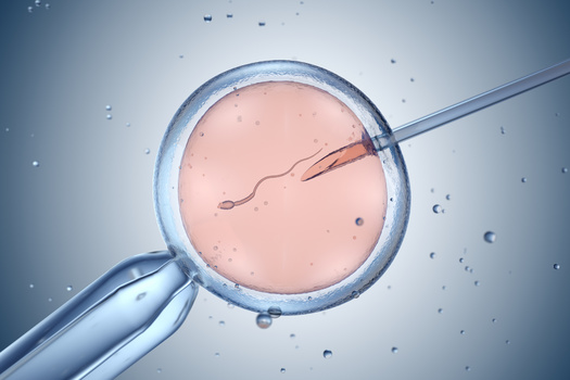 Around 42% of U.S. adults say they or someone they know has used fertility treatments, according to Pew Research Center. (Tatiana Shepeleva / Adobe Stock)