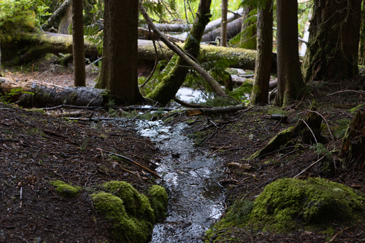 Small seasonal streams lost Clean Water Act protections last year when the U.S. Supreme Court ruled against the Biden administration in 'Sackett v. EPA.' (Derrick/Adobe Stock)