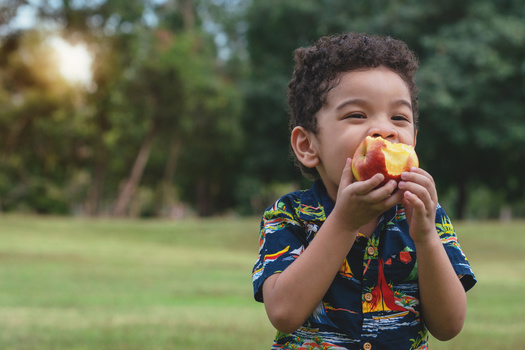 Nearly 40% of Wisconsin school-aged children are eligible for free or reduced-price lunches at school. (Adobe Stock)