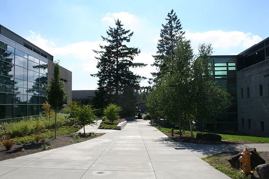 Ms del 21% de la poblacin estudiantil del Portland Community College es hispana. (Adumbvoget/Wikimedia Commons)