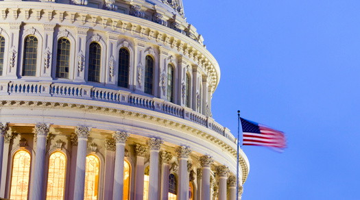 Congress gave final approval to the 2024 budget after a six-month delay. (doganmesut/Adobe Stock)